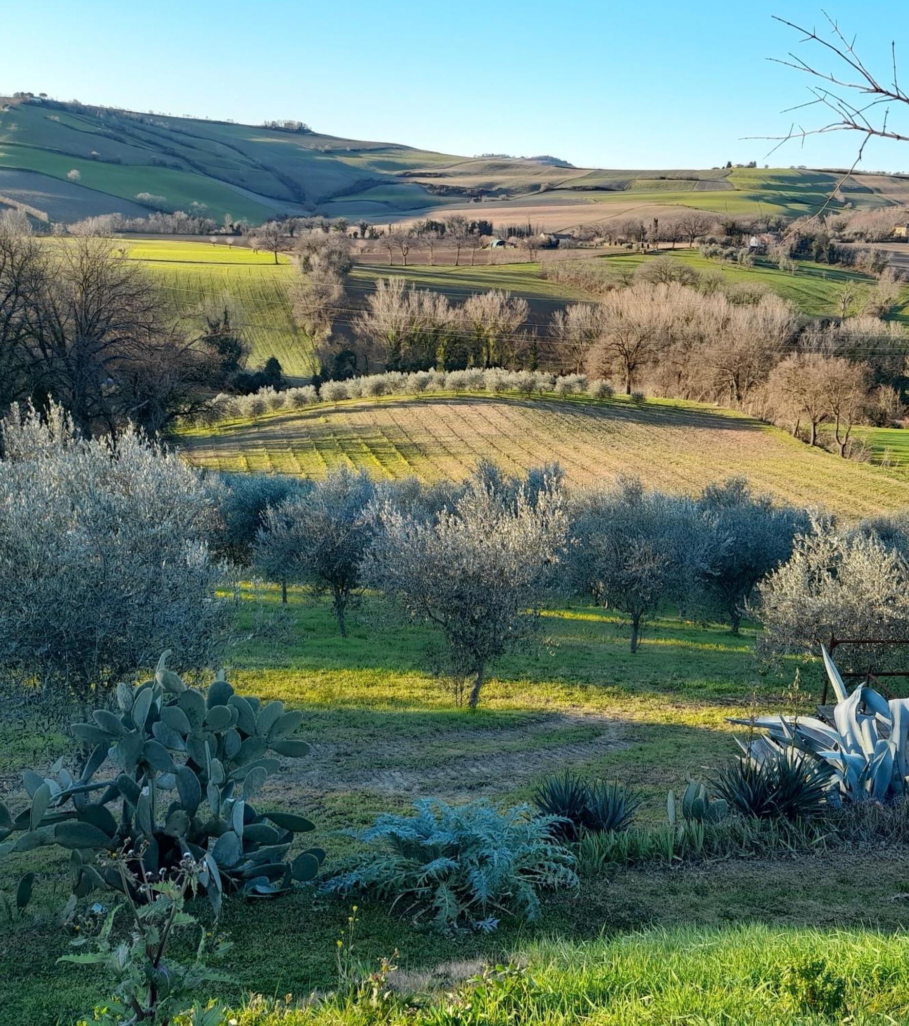 La Luna Nell'Orto-Casa Vacanza Ecologica E Agricoltura Biodinamica Barchi Экстерьер фото